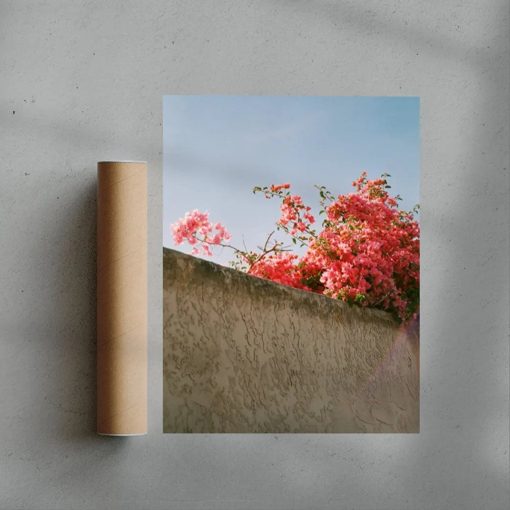 Pink Bloom contemporary wall art print by Brandon Chau - sold by DROOL