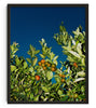 MANDARINE contemporary wall art print by Gregory Tauziac - sold by DROOL