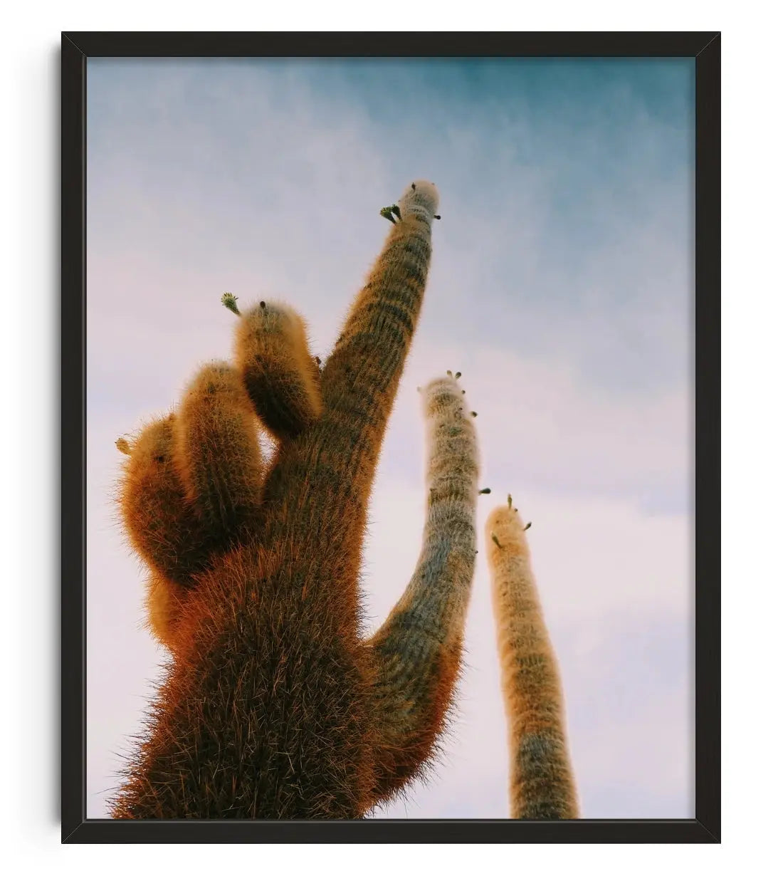 FUZZY. contemporary wall art print by Mandy Sham - sold by DROOL