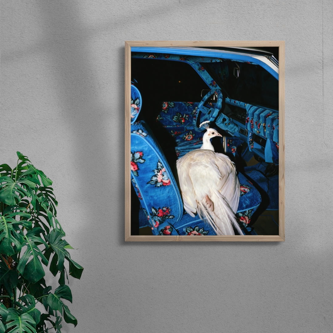 GO WHERE YOU GO. contemporary wall art print by Ces XC - sold by DROOL