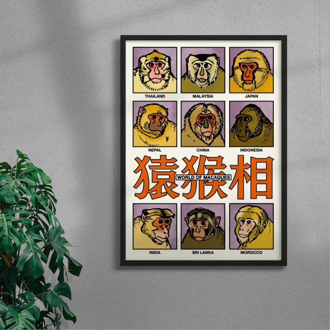 World of Macaques