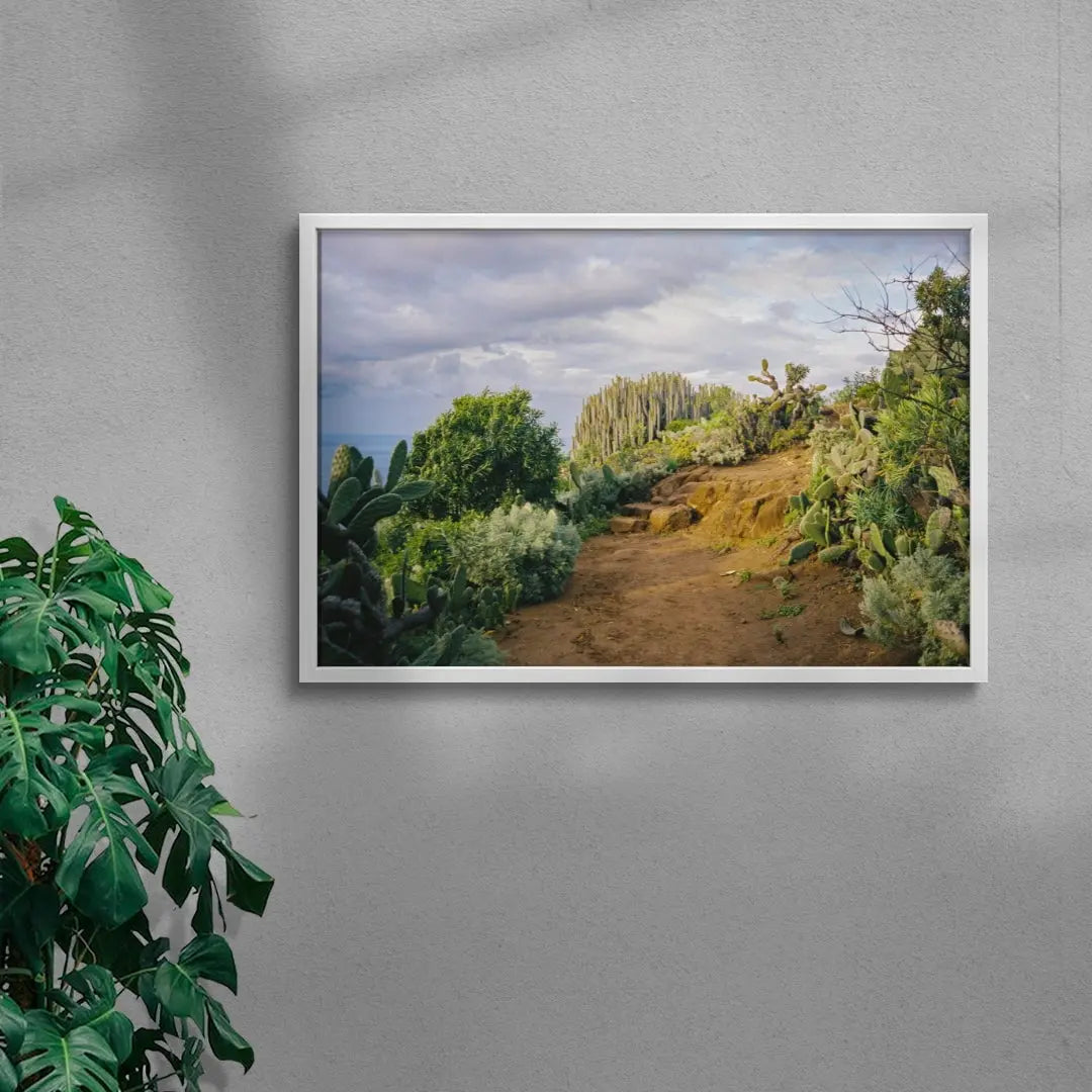 Cactus Path contemporary wall art print by Jade Stephens - sold by DROOL