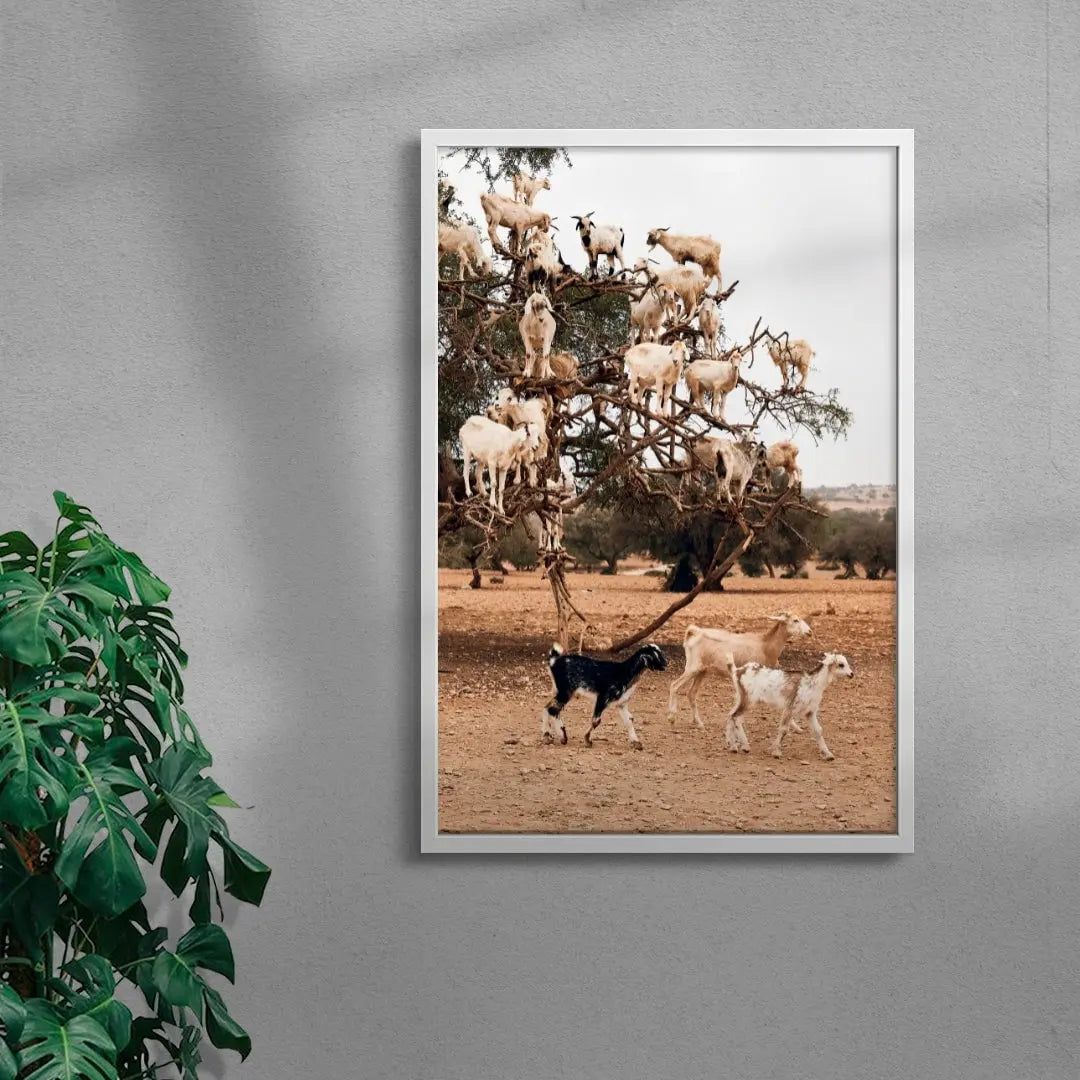 Goats contemporary wall art print by Bonnie Coumbe - sold by DROOL
