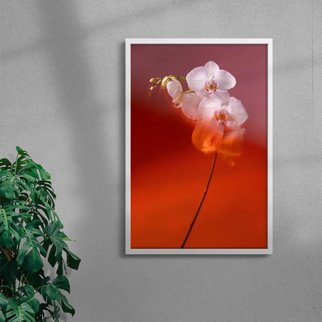 Blushing Orchid contemporary wall art print by Kristina Kulakova - sold by DROOL