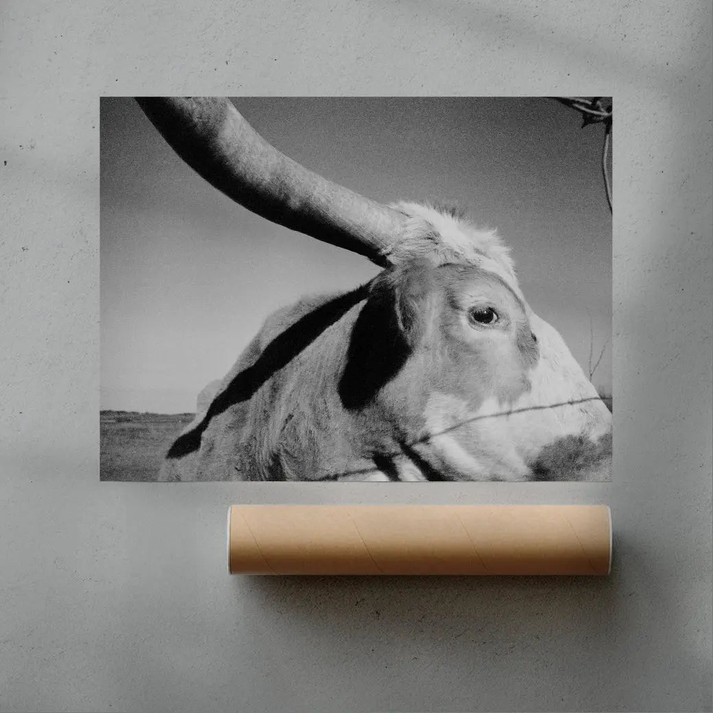Longhorn Gaze contemporary wall art print by Lauren Withrow - sold by DROOL