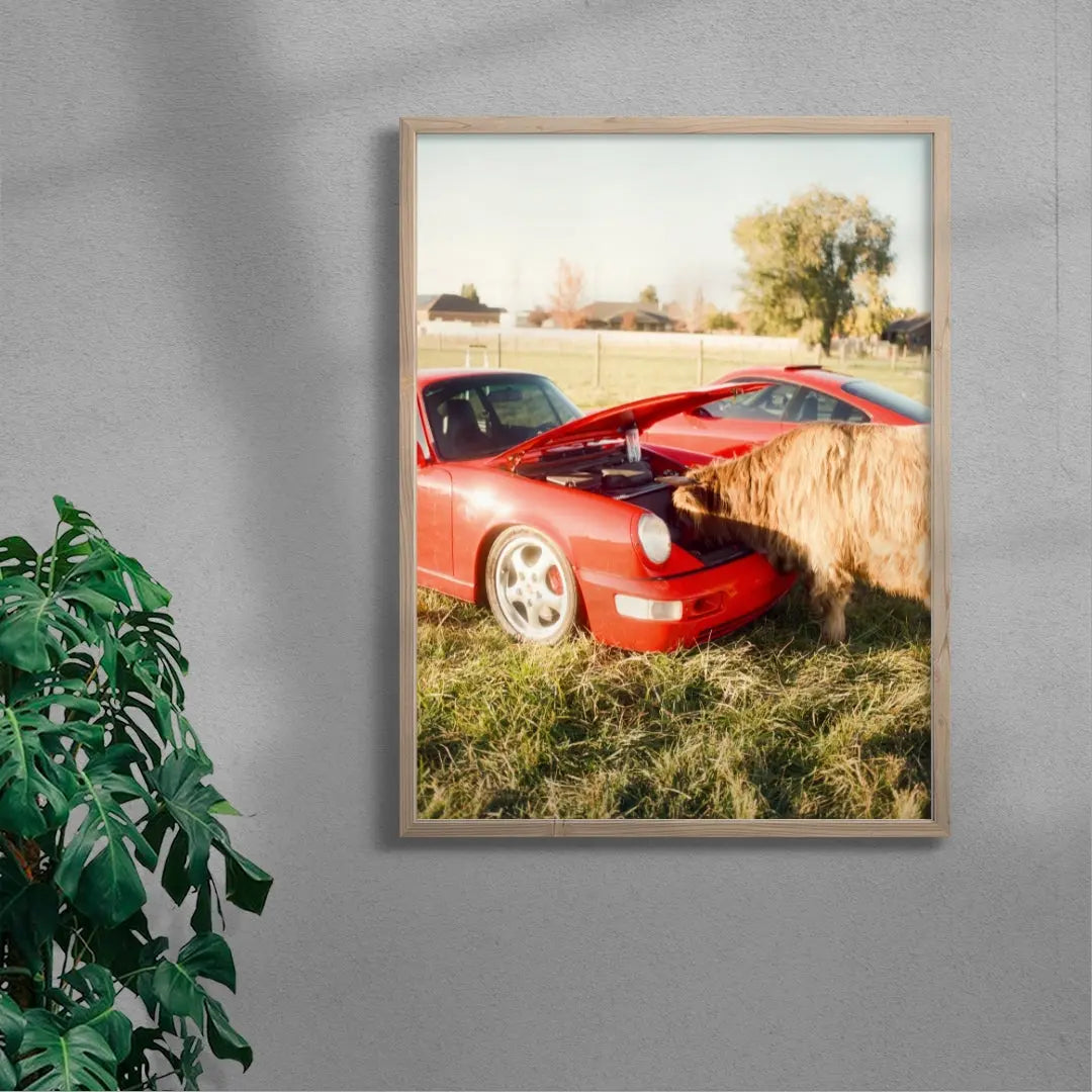 Cows and Cars