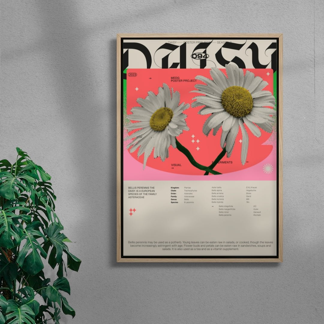 Daisy contemporary wall art print by MEDG - sold by DROOL