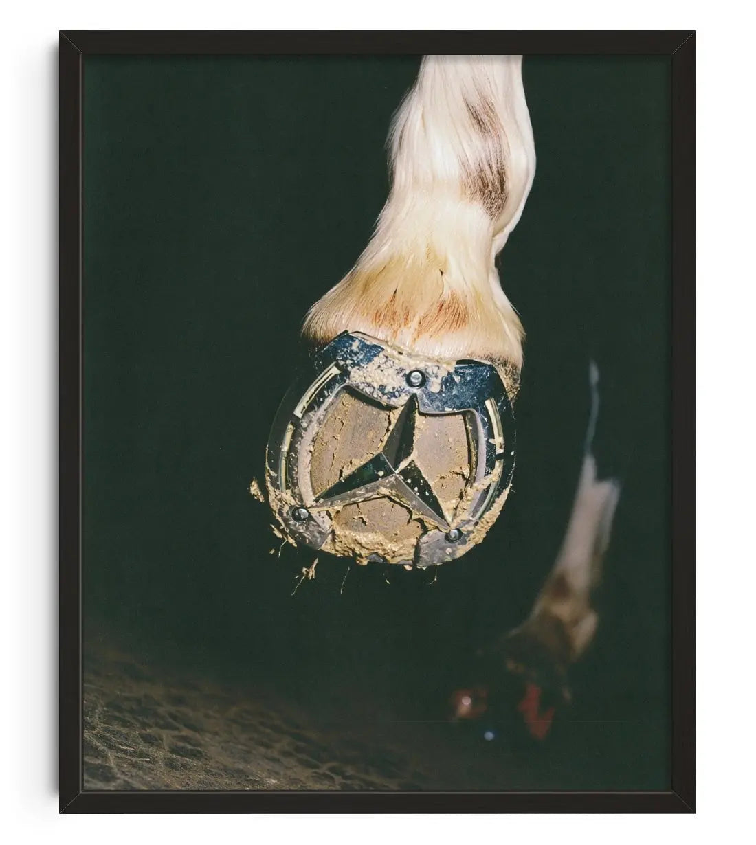 THE HORSE contemporary wall art print by Ces XC - sold by DROOL