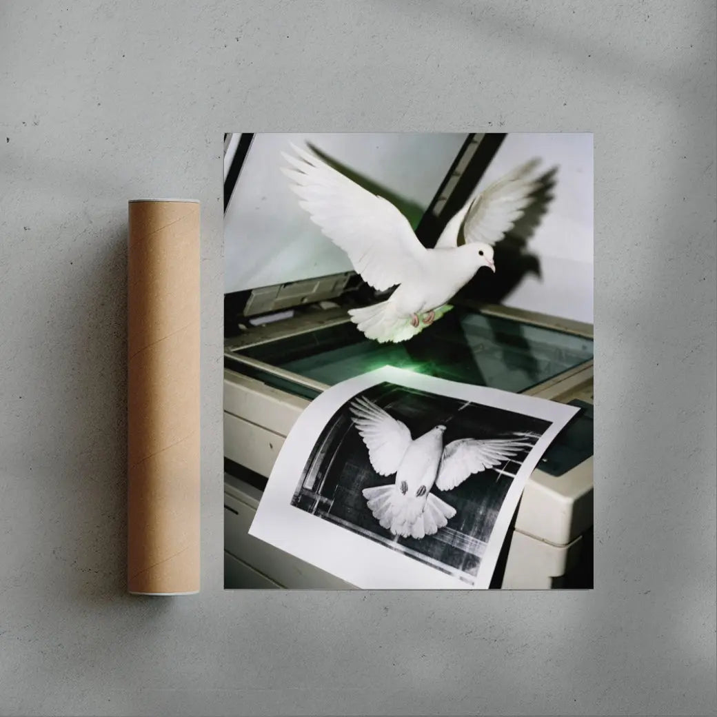 DOVE COPY.