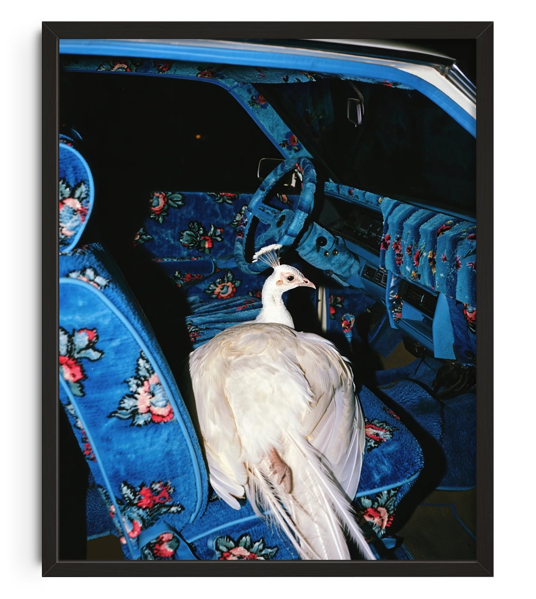 GO WHERE YOU GO. contemporary wall art print by Ces XC - sold by DROOL