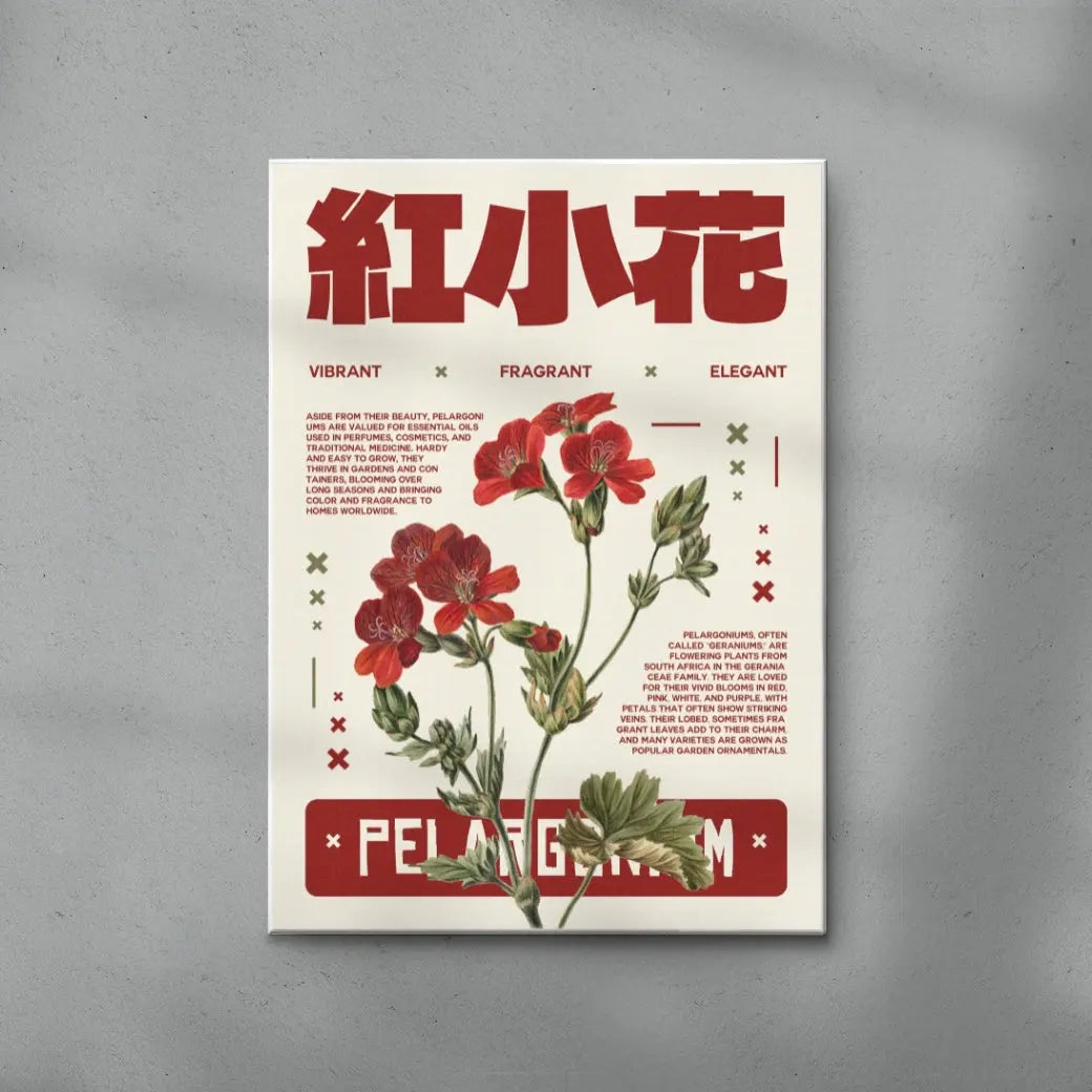 Pelargonium poster