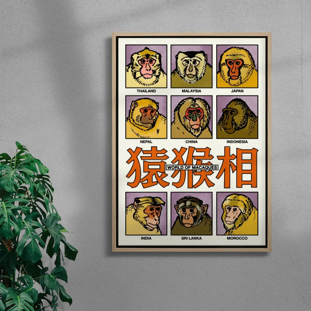 World of Macaques