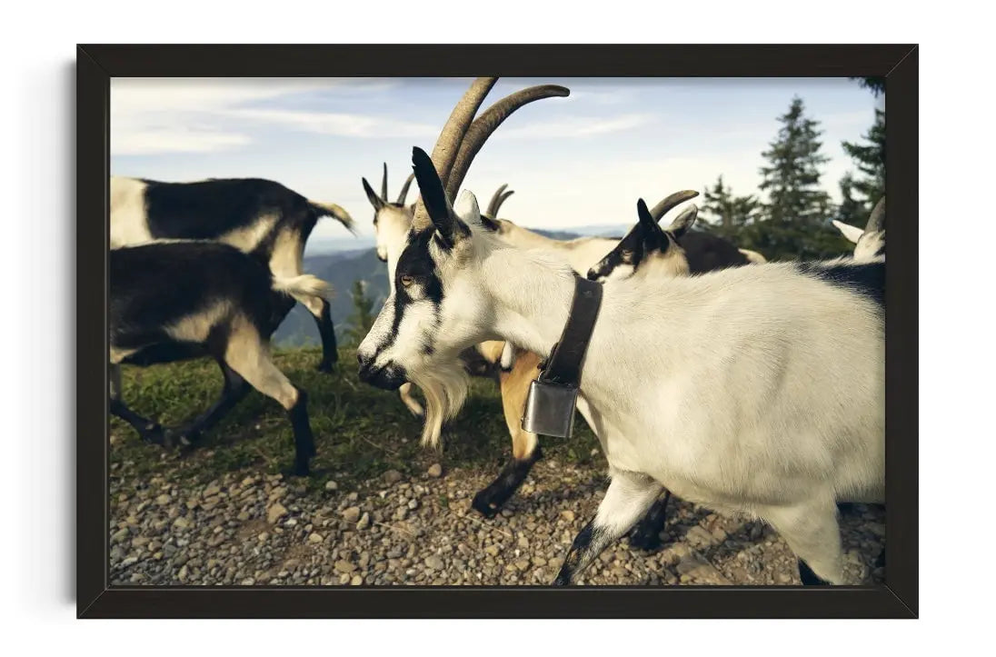 Mountain Herd contemporary wall art print by Shin Miura - sold by DROOL