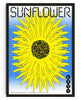 Sunflower contemporary wall art print by John Schulisch - sold by DROOL