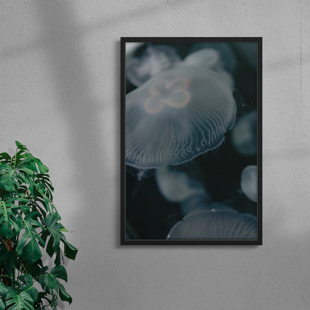 Jellyfish contemporary wall art print by Ashley Chruszcz - sold by DROOL