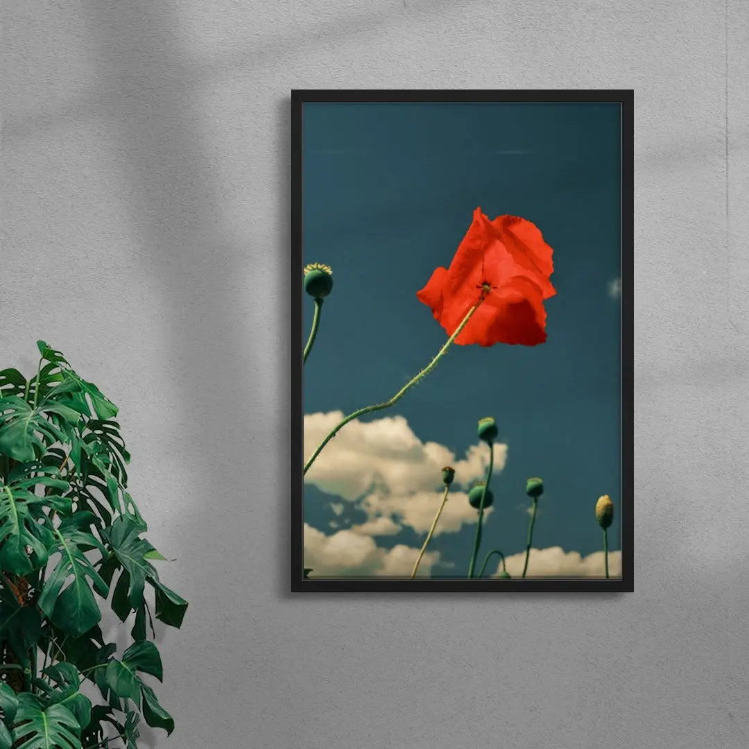 East London poppies