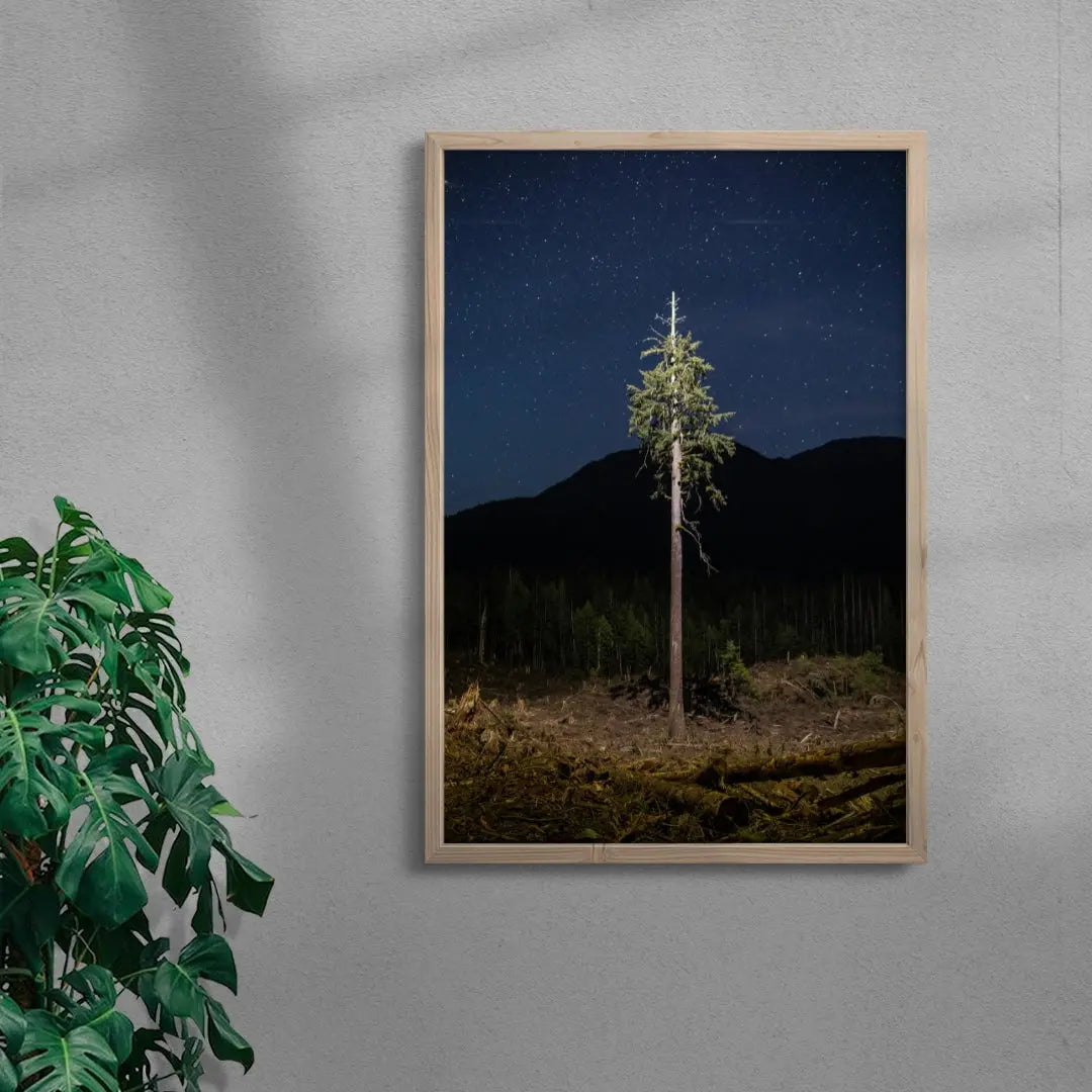 Lone Tree contemporary wall art print by Joshua Cogan - sold by DROOL