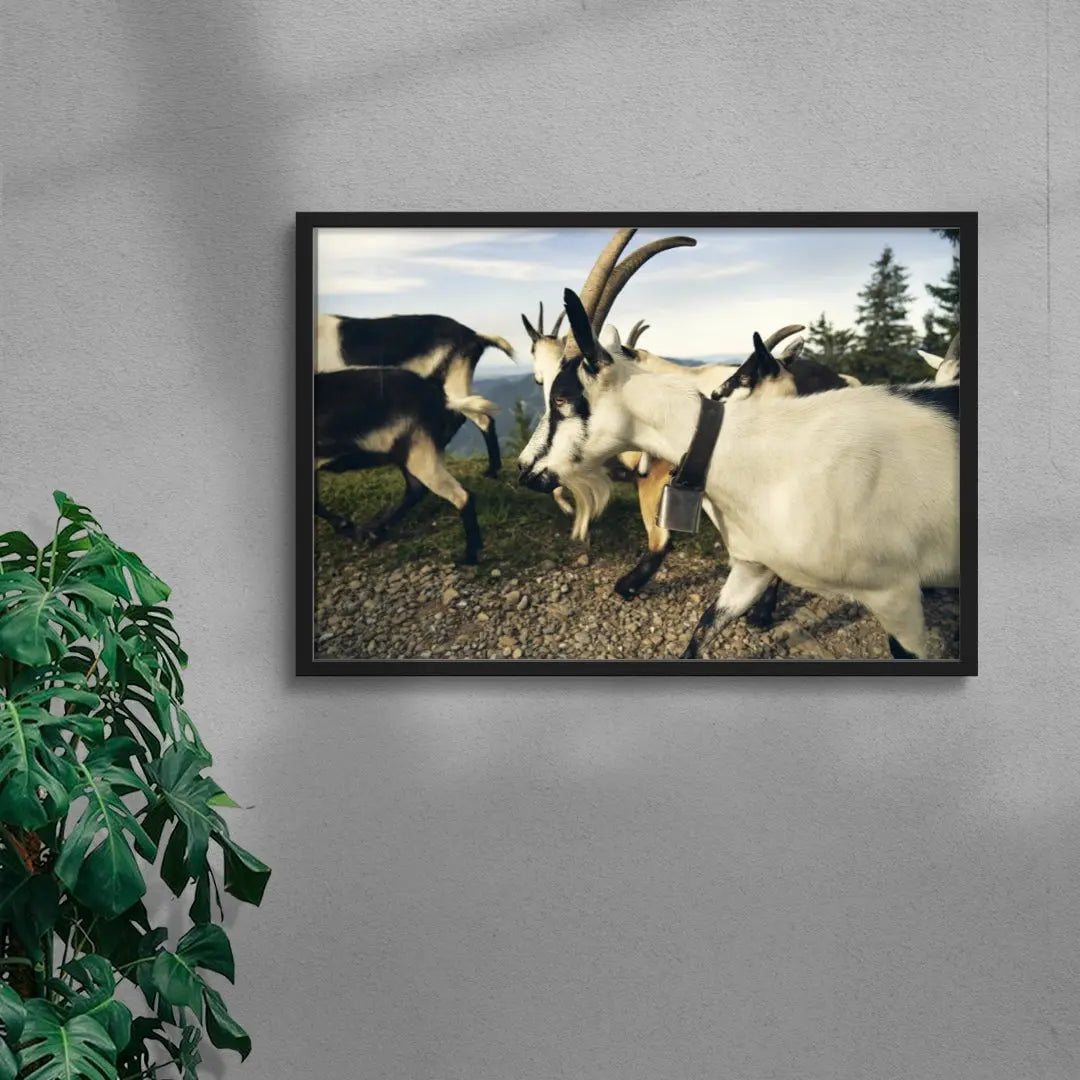 Mountain Herd contemporary wall art print by Shin Miura - sold by DROOL