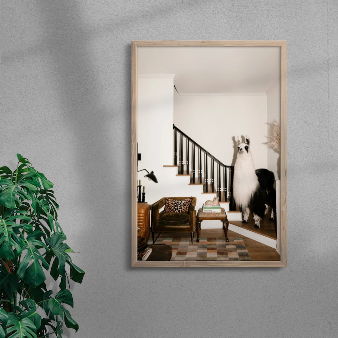 A Welcome Llama contemporary wall art print by Mary Caroline Russell - sold by DROOL