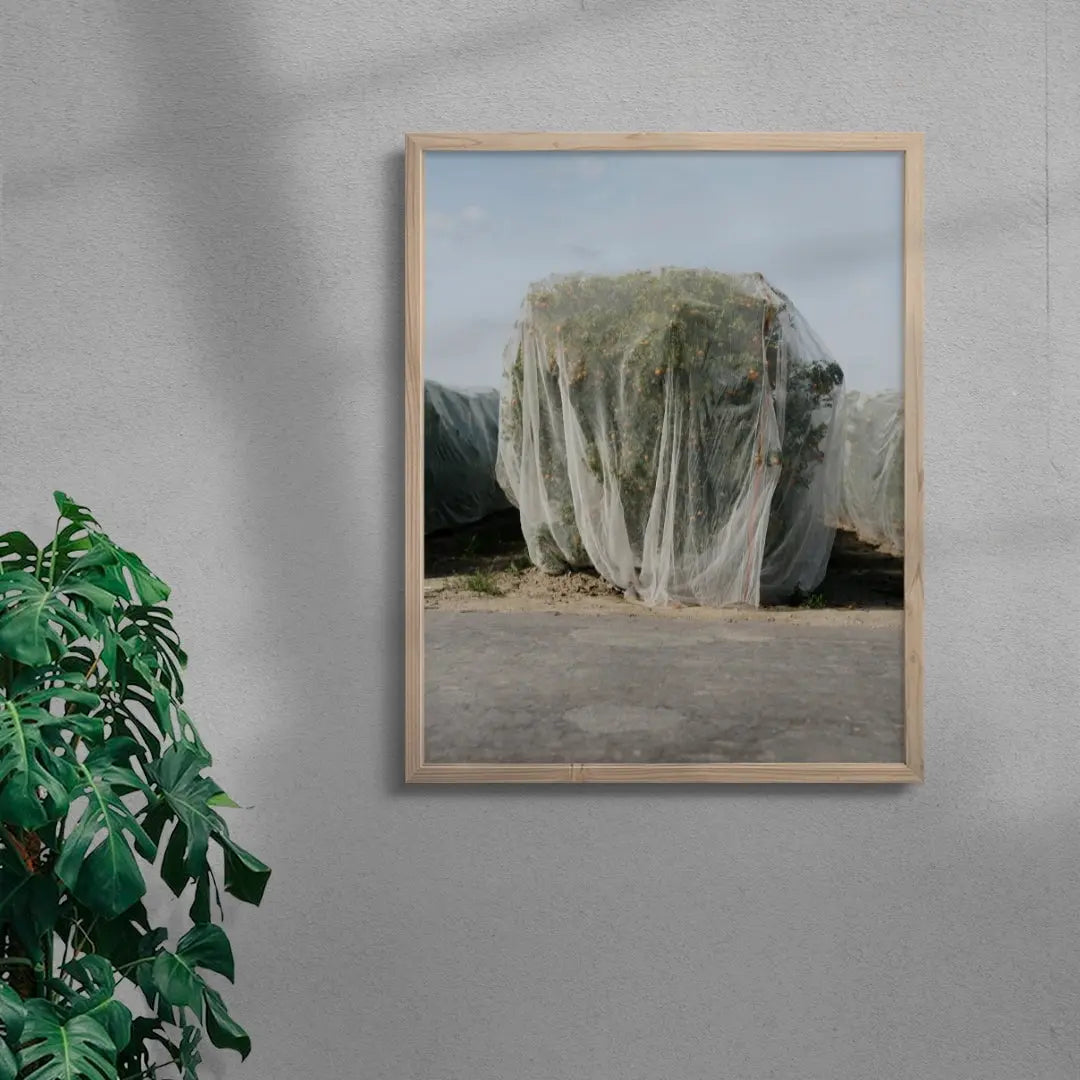 Netted contemporary wall art print by Alex Cook - sold by DROOL