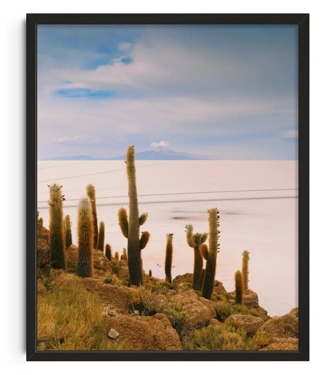 Salty Cacti contemporary wall art print by Mandy Sham - sold by DROOL