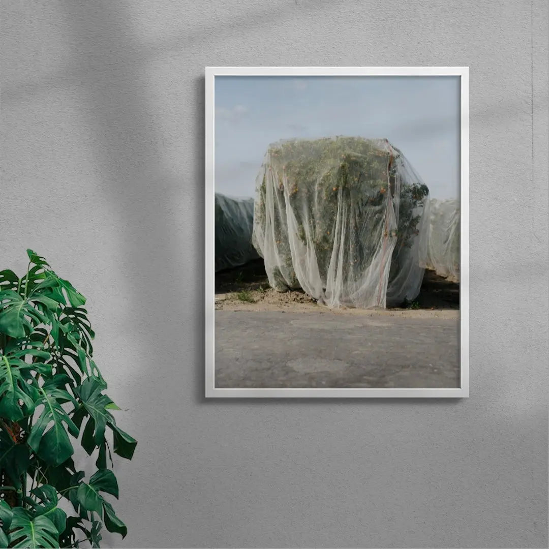 Netted contemporary wall art print by Alex Cook - sold by DROOL