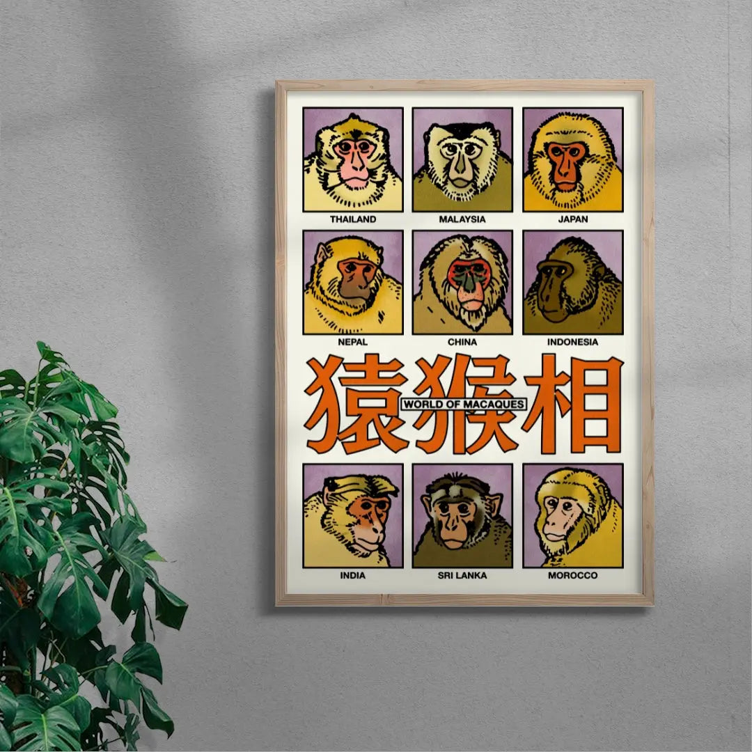 World of Macaques