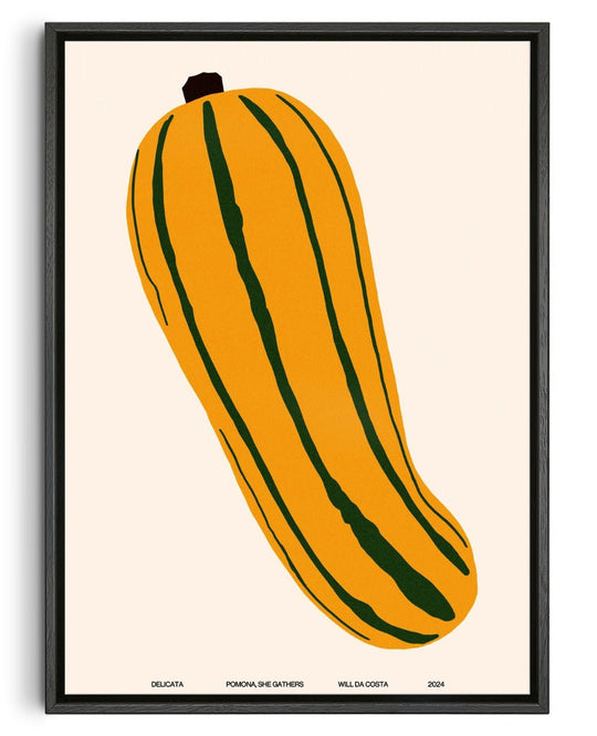 Delicata