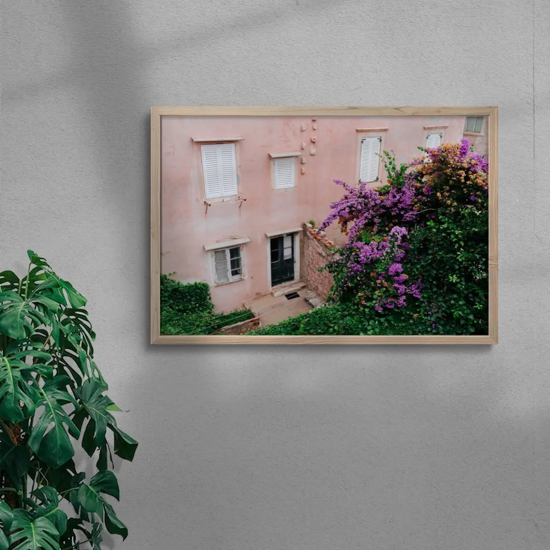 Pink Wall Bougainvillea contemporary wall art print by Sam Rouda - sold by DROOL