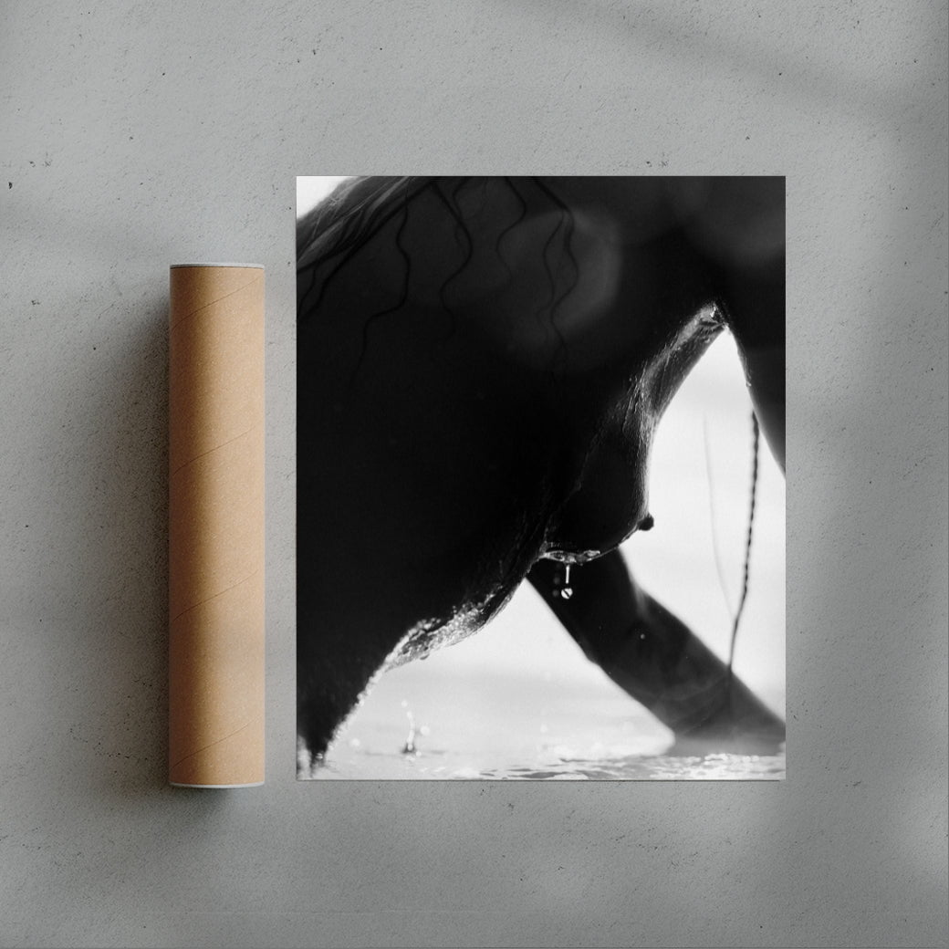 The Wet Line contemporary wall art print by Gregory Tauziac - sold by DROOL