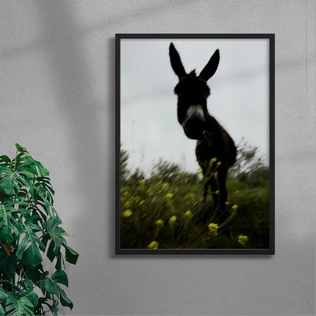 Morning Donkey contemporary wall art print by Omar Belattar - sold by DROOL