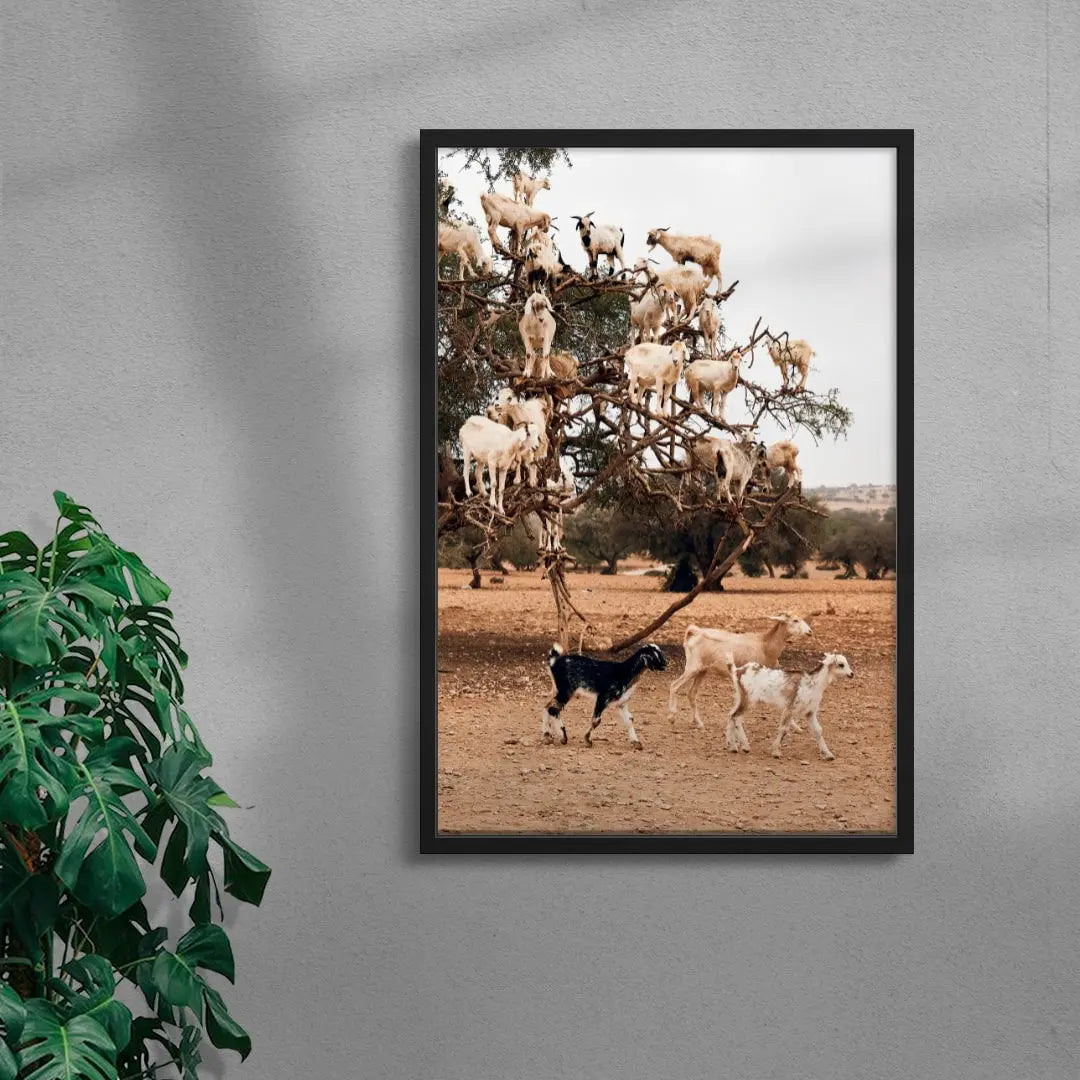 Goats contemporary wall art print by Bonnie Coumbe - sold by DROOL