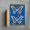 Flutter contemporary wall art print by KBAR studio - sold by DROOL