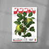 Two Apples contemporary wall art print by George Kempster - sold by DROOL