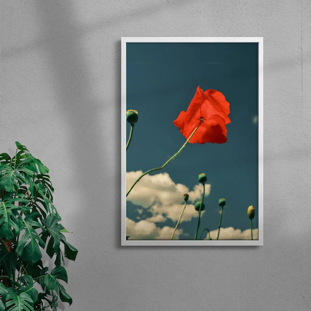 East London poppies