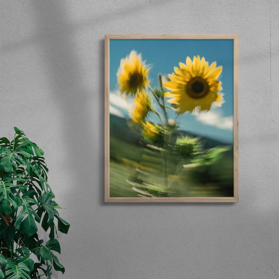 Sunflower Sway contemporary wall art print by Molly Strohl - sold by DROOL