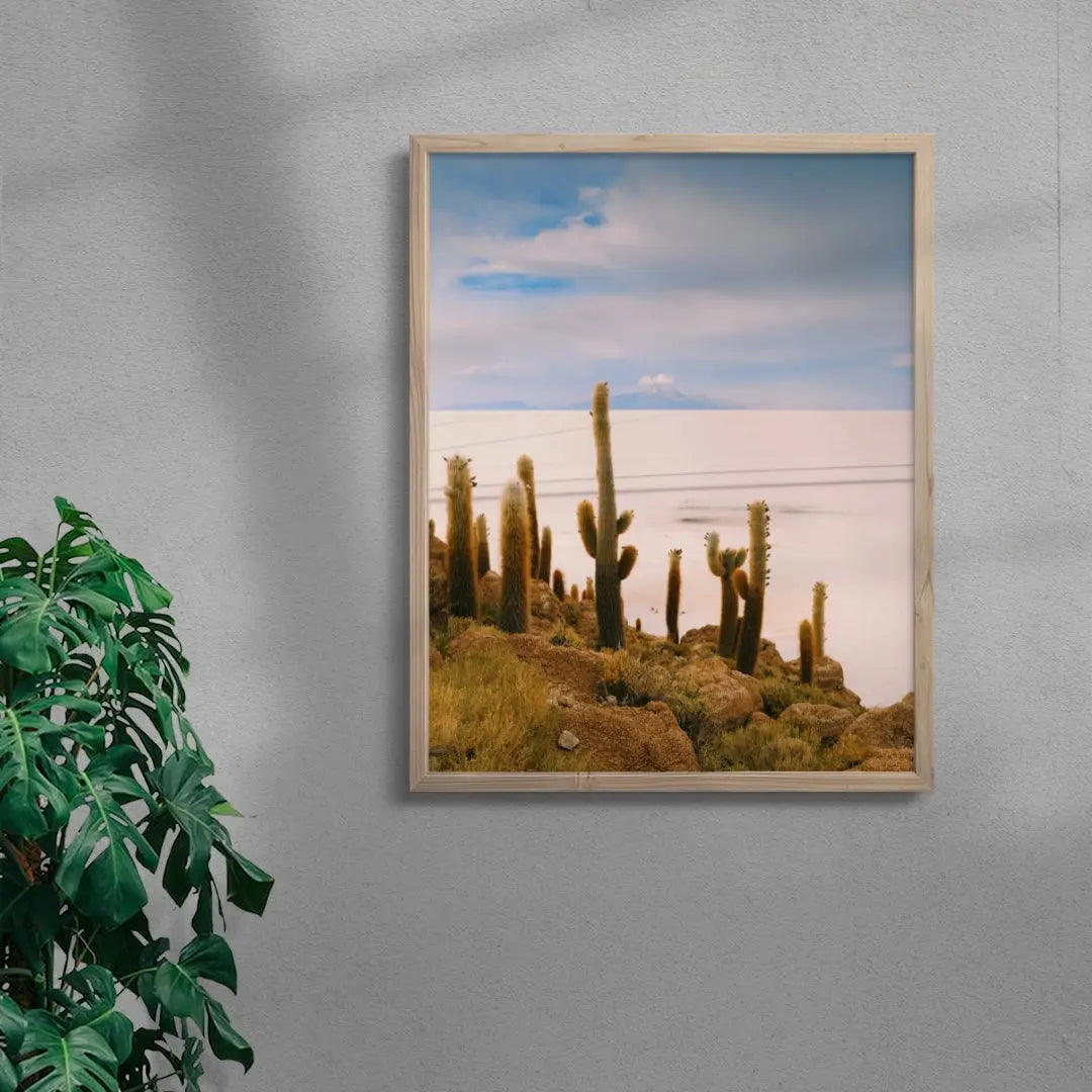 Salty Cacti contemporary wall art print by Mandy Sham - sold by DROOL