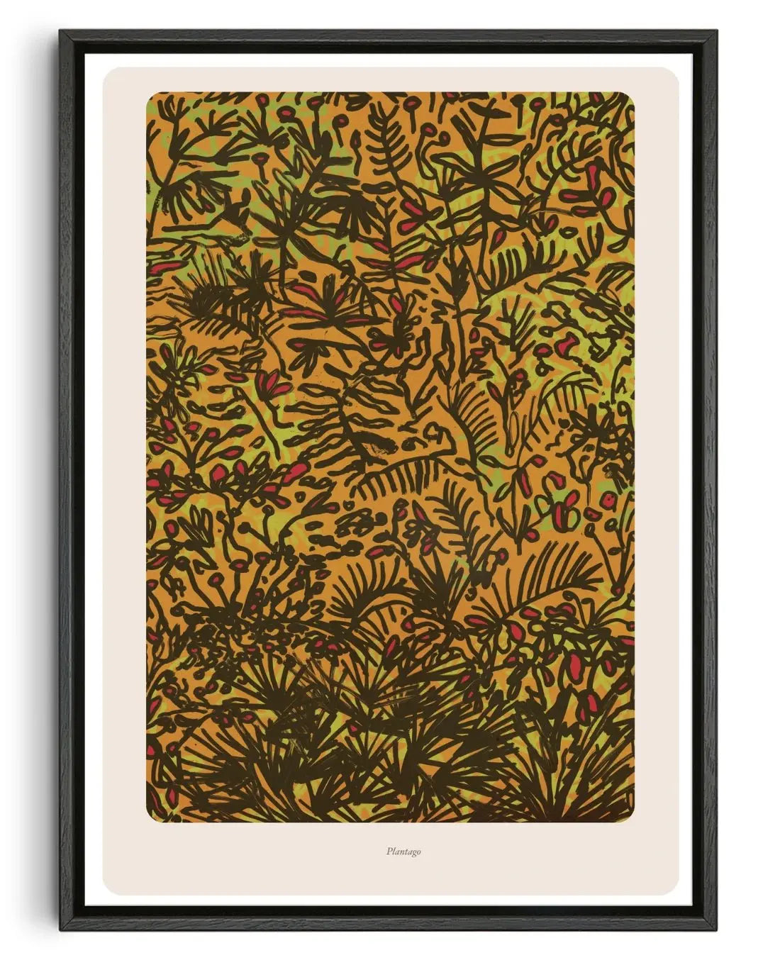 Plantago contemporary wall art print by Rikki Hewitt - sold by DROOL