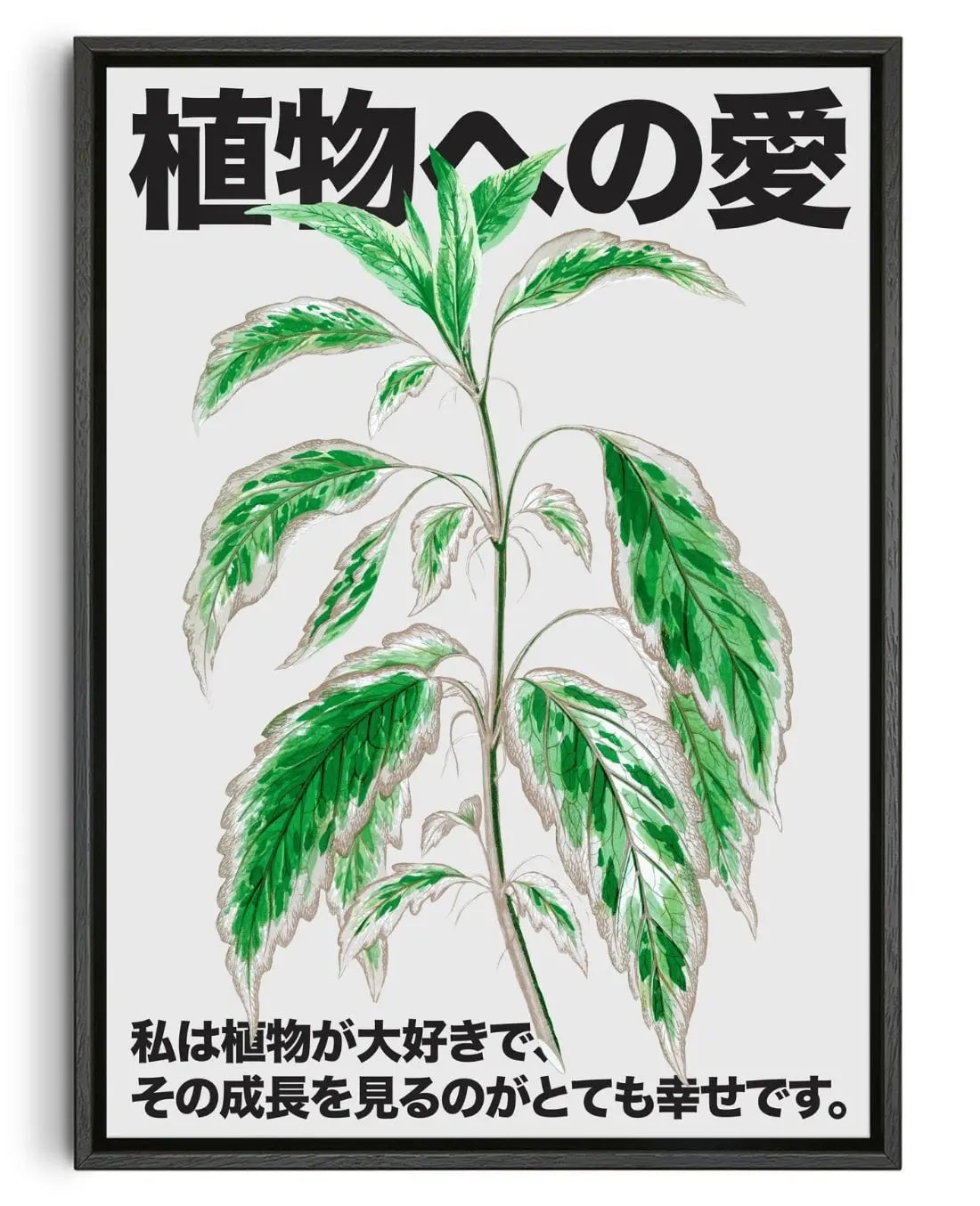 Plant Love 3 contemporary wall art print by DROOL Collective - sold by DROOL