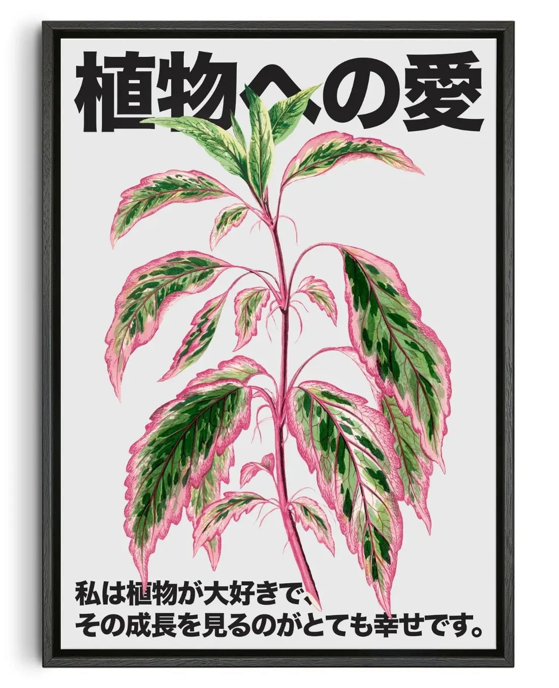 Plant Love contemporary wall art print by DROOL Collective - sold by DROOL