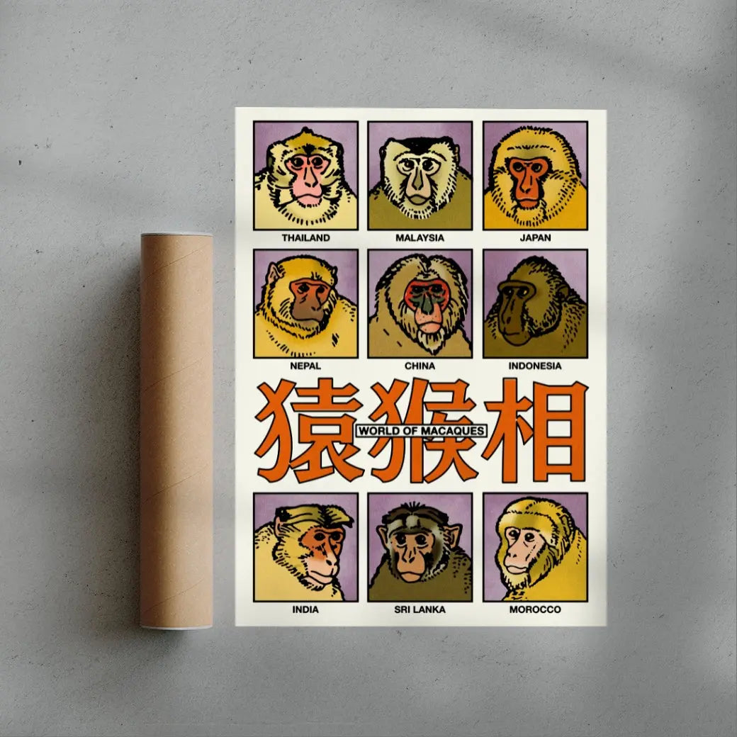 World of Macaques