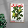 Two Apples contemporary wall art print by George Kempster - sold by DROOL