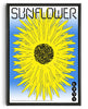Load image into Gallery viewer, Sunflower contemporary wall art print by John Schulisch - sold by DROOL