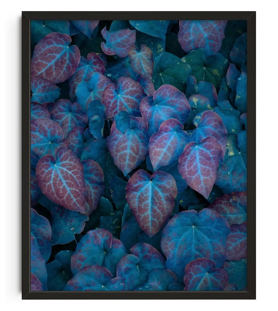 Barrenwort contemporary wall art print by Delaney Allen - sold by DROOL