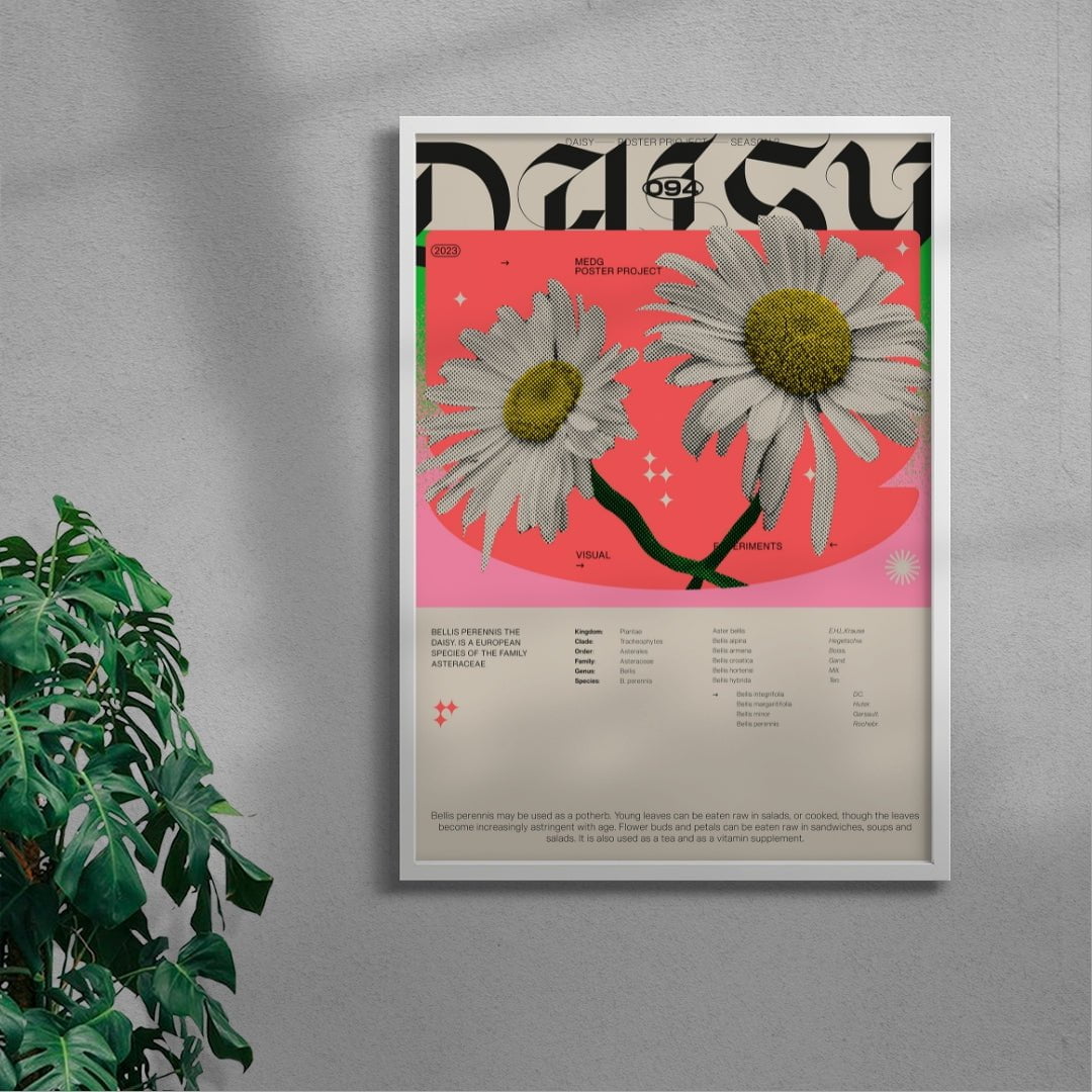 Daisy contemporary wall art print by MEDG - sold by DROOL