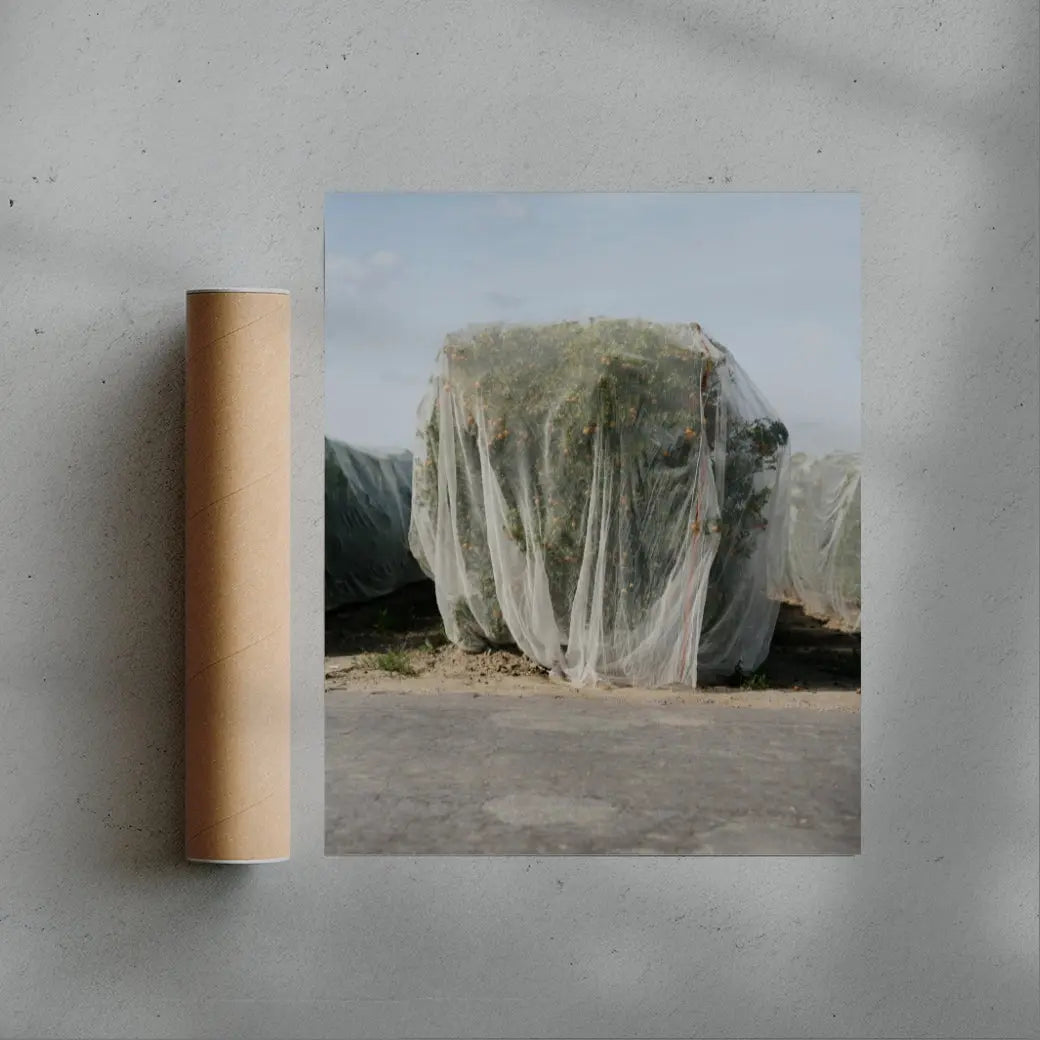 Netted contemporary wall art print by Alex Cook - sold by DROOL