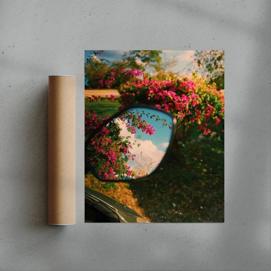 Mirror Bloom contemporary wall art print by Mandy Sham - sold by DROOL