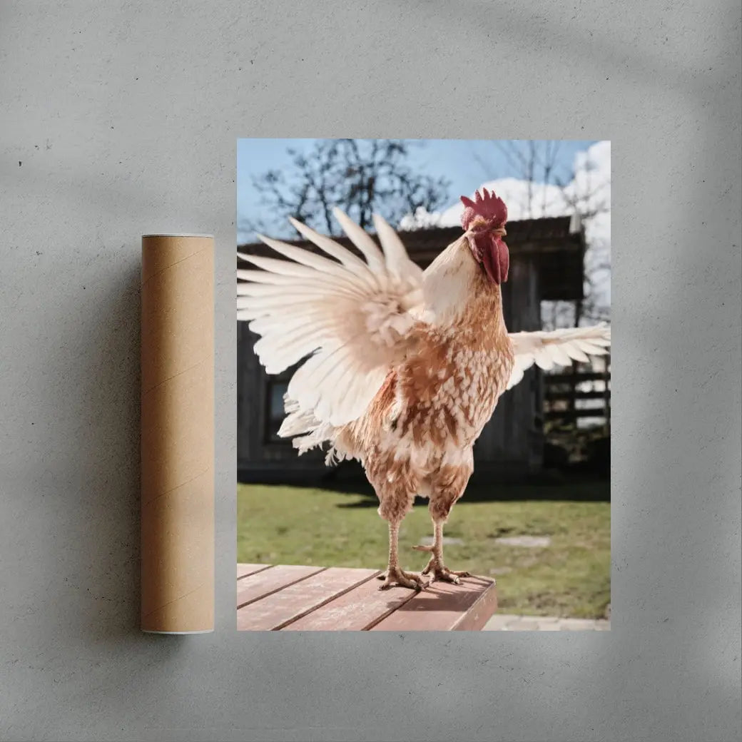 Backyard Rooster contemporary wall art print by Florian Maas - sold by DROOL