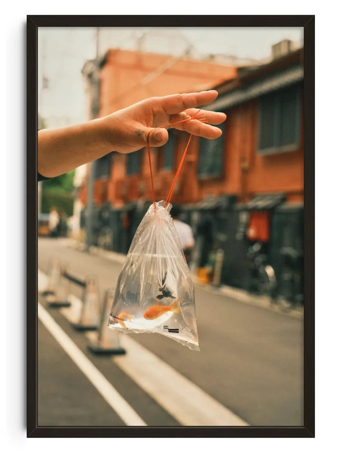 A bag of fish contemporary art print by Julian Zerressen - sold by DROOL