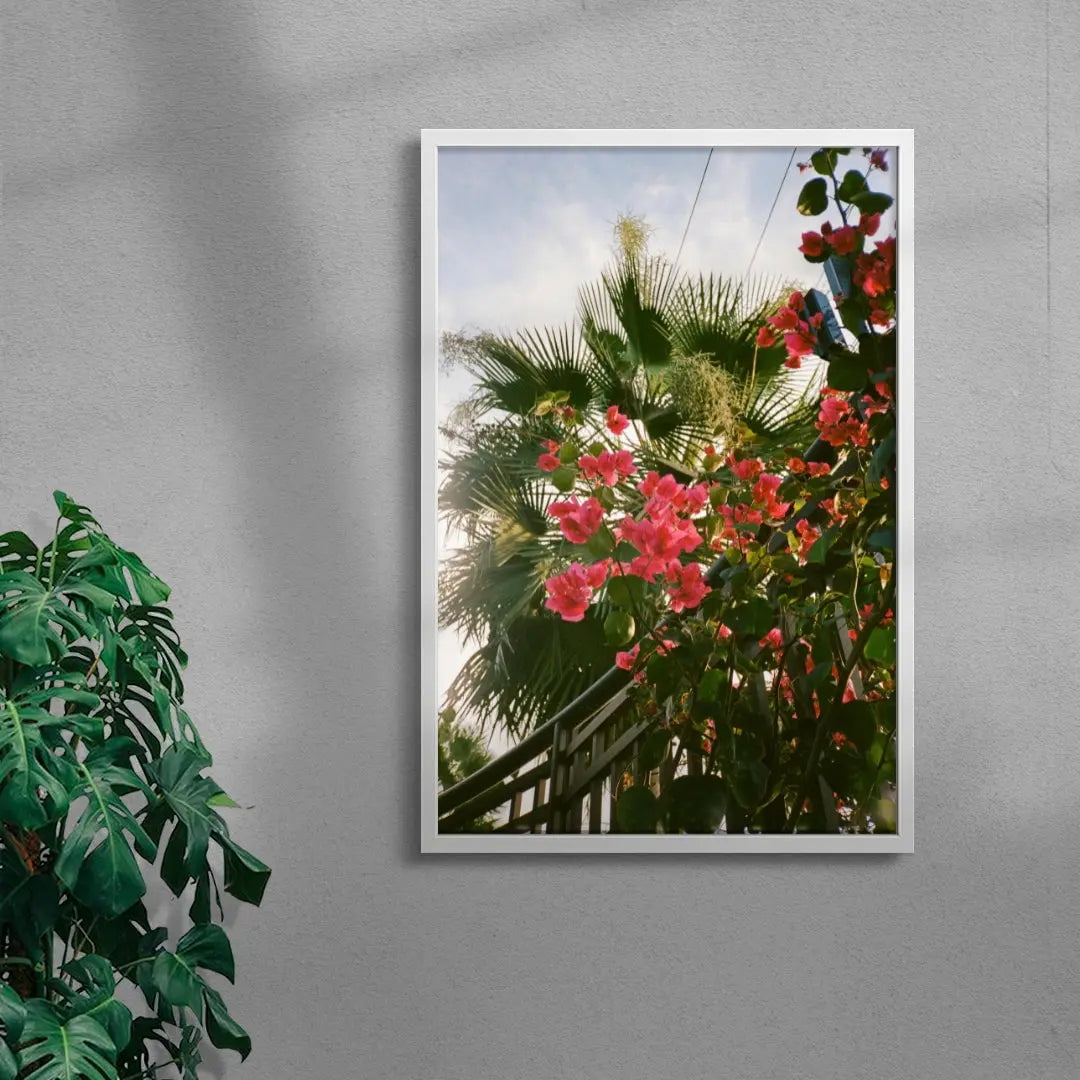 Bougainvillea contemporary wall art print by Robin Knuth - sold by DROOL